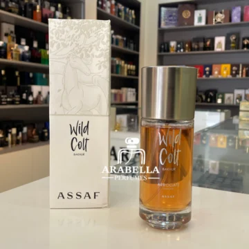 Wild Colt Bakhur Assaf